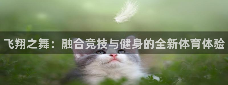 飞翔之舞：融合竞技与健身的全新体育体验