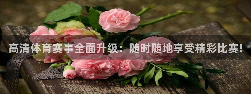 高清体育赛事全面升级：随时随地享受精彩比赛!