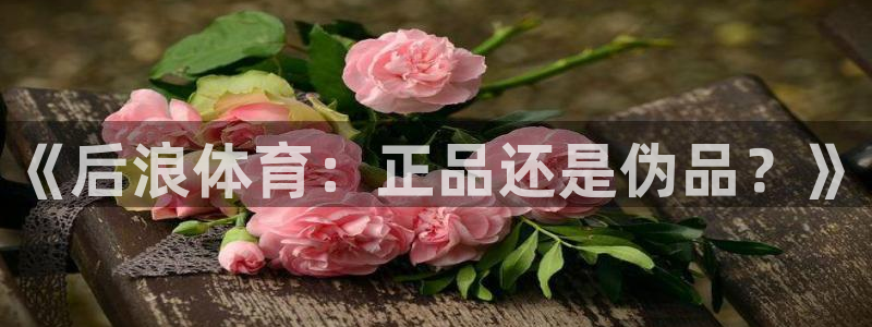 《后浪体育：正品还是伪品？》
