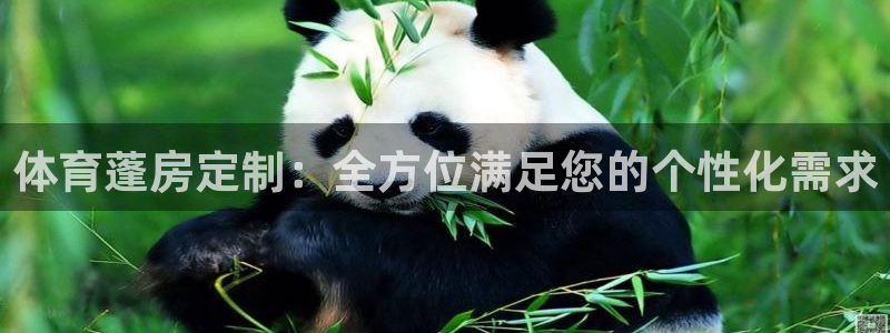 体育蓬房定制：全方位满足您的个性化需求