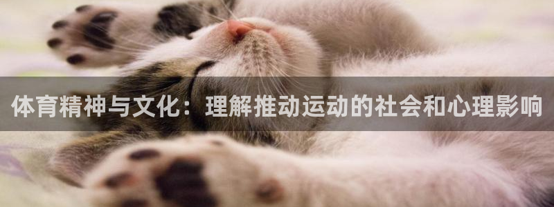 体育精神与文化：理解推动运动的社会和心理影响