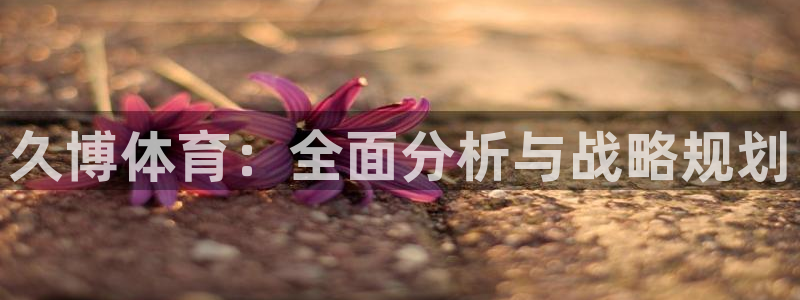 久博体育：全面分析与战略规划