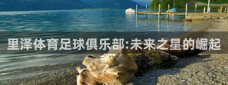 360雨燕体育直播