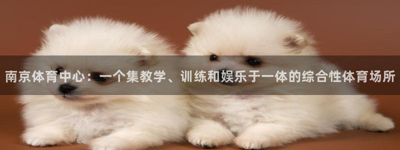 360足球在线直播观看：南京体育中心：一个集教学、训练和娱乐于一体的综合性体育场所