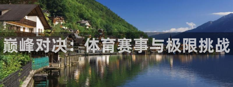 360体育比赛