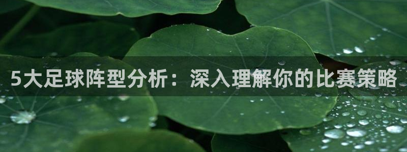 360直播足球直播频道