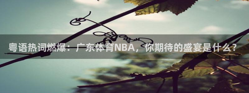 360高清直播nba：粤语热词燃爆：广东体育NBA，你期待的盛宴是什么？