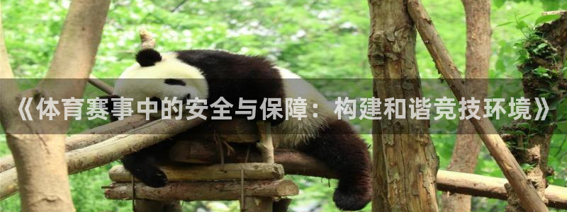 360直播体育在线直播