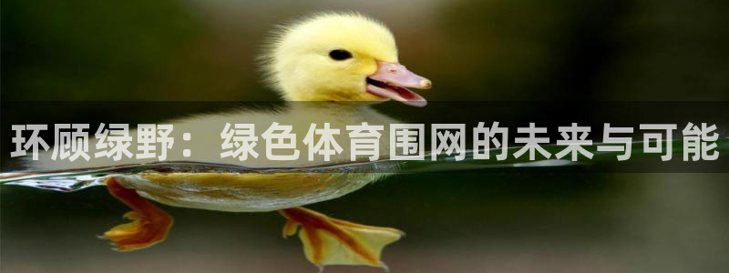 nba直播高清免费观看360蜘蛛直播：环顾绿野：绿色体育围网的未来与可能