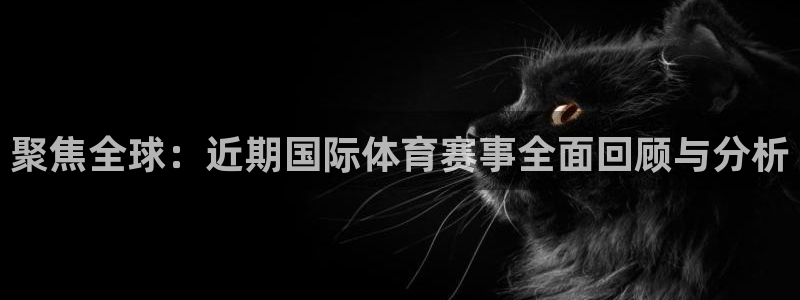 360体育在线直播免费高清：聚焦全球：近期国际体育赛事全面回顾与分析